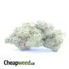 Greenfarm's Pink Kush