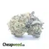 Kush Cookies