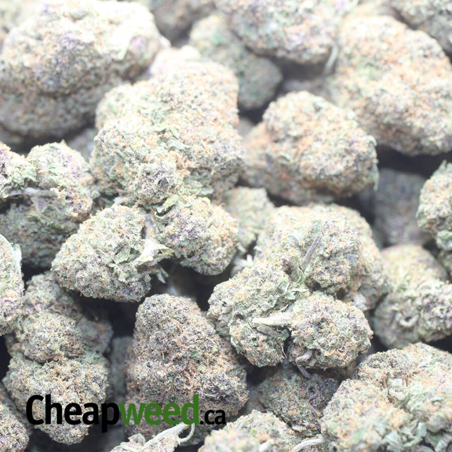 Lemon Cookies - *Deal of the Day*