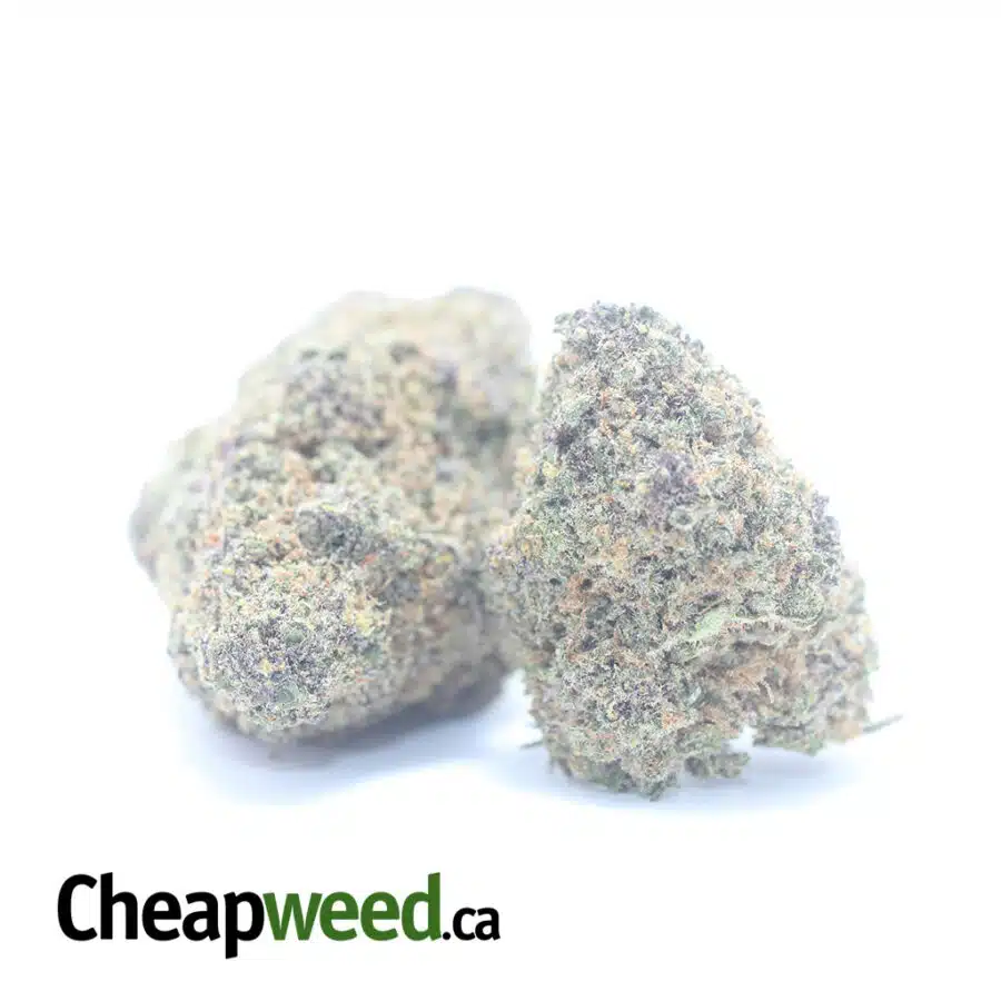 LEMON COOKIES 3 I Lemon Cookies - *Deal of the Day*
