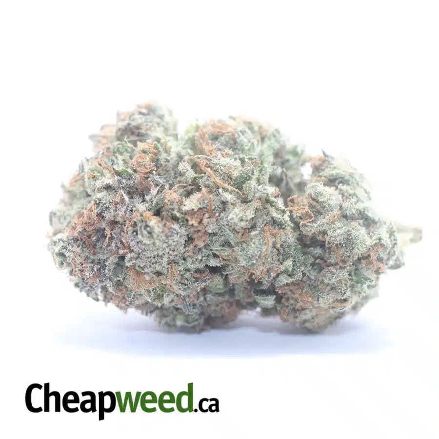 Mendo Cookies