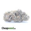 Mendocino Purps - *Deal Of The Day*