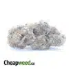 Mendocino Purps - *Deal Of The Day*