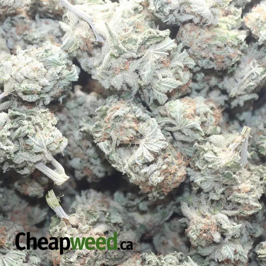 PEACHES AND CREAM 1 I $ 59 Oz - Peaches N Cream