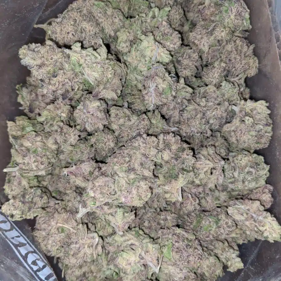 Purple Lemonade