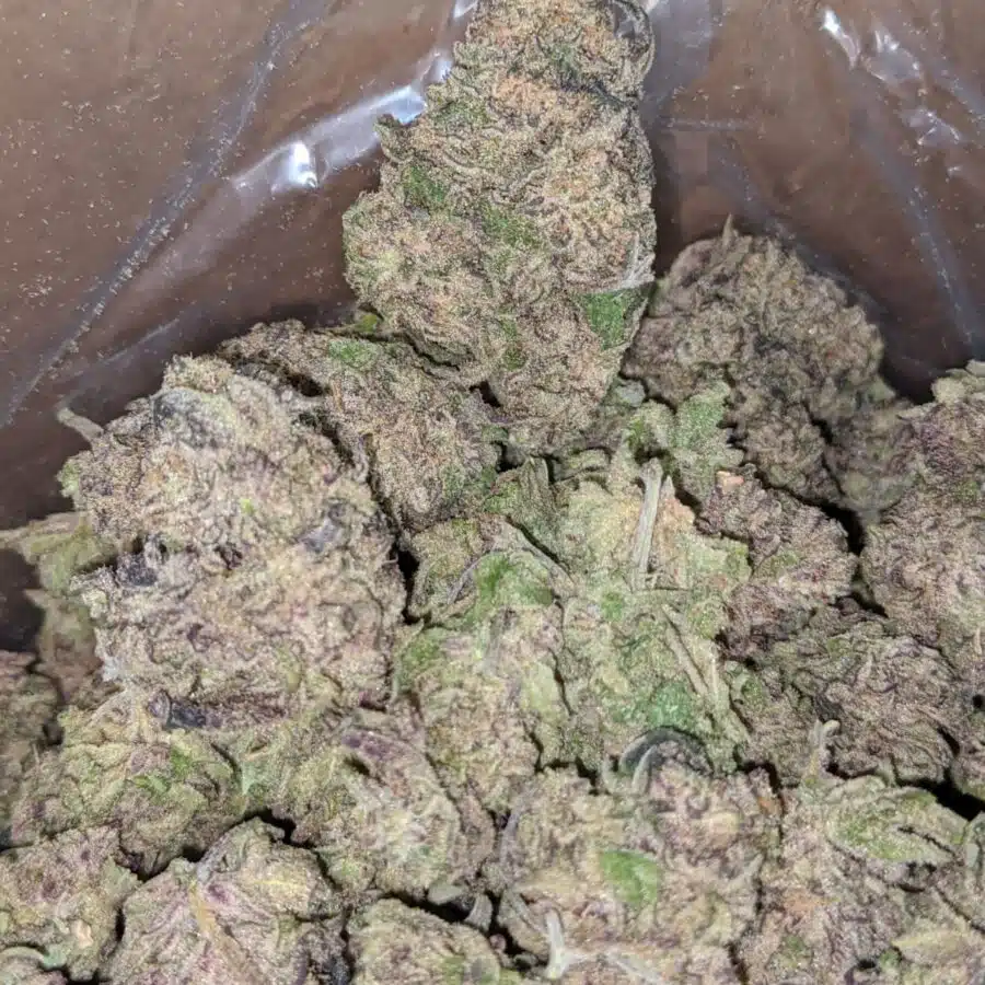 PURPLE LEMONADE 3 I Purple Lemonade