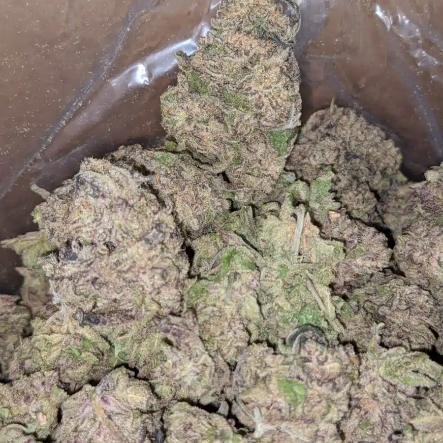 PURPLE LEMONADE 4 I Purple Lemonade