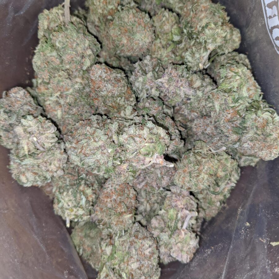 PURPLE NUKEN 1 I Purple Nuken