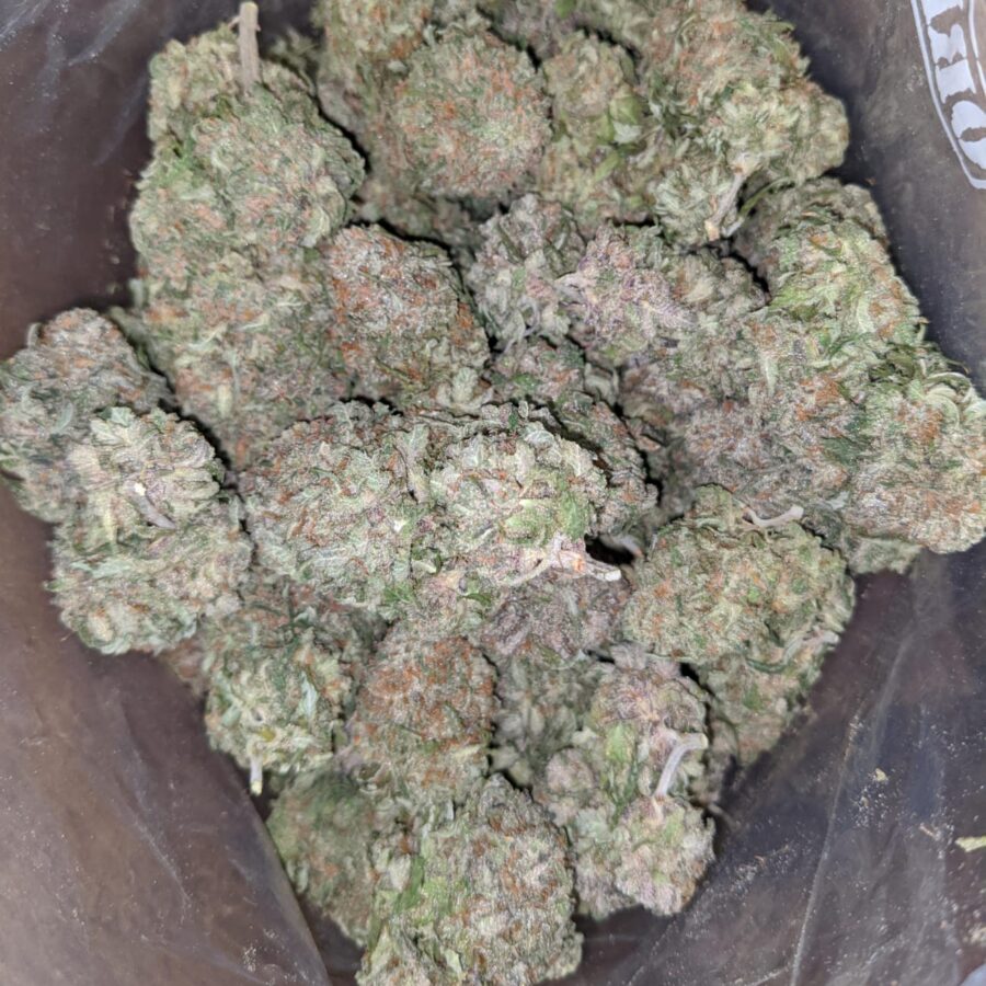PURPLE NUKEN 2 I Purple Nuken