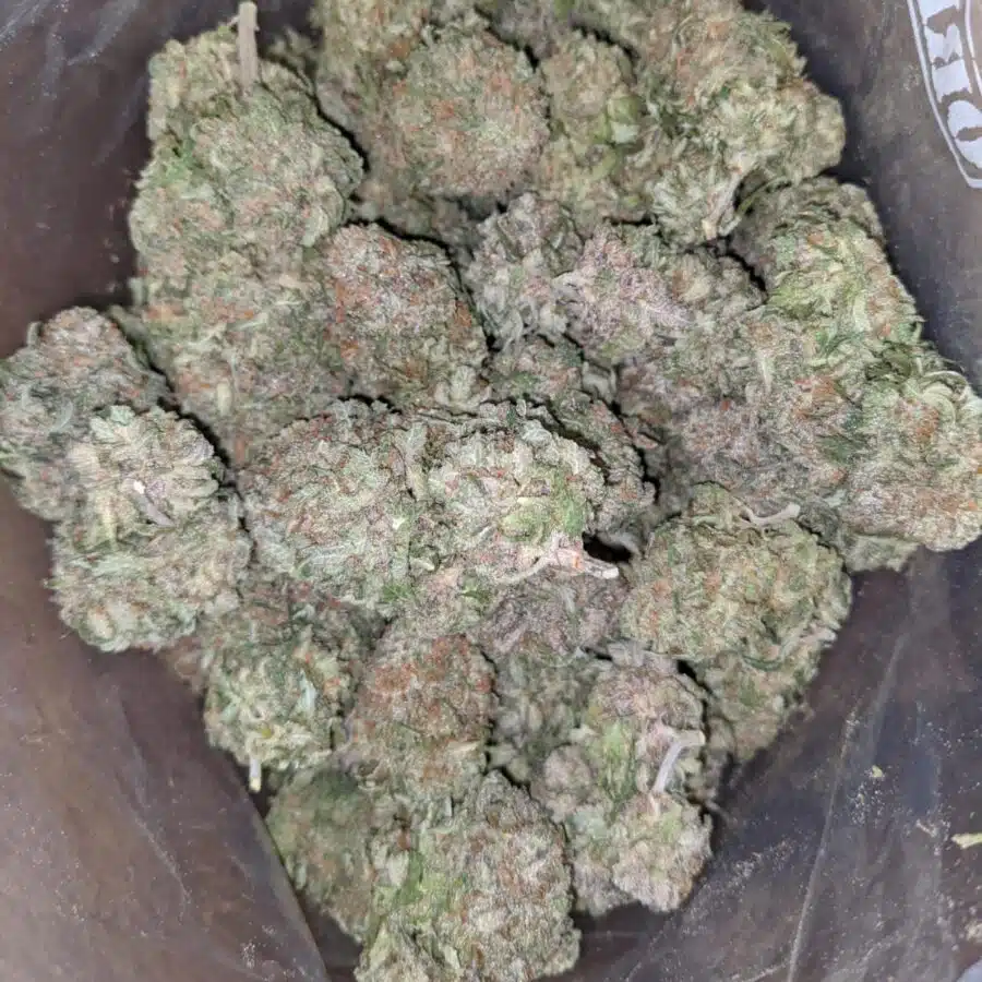 PURPLE NUKEN 2 I Purple Nuken