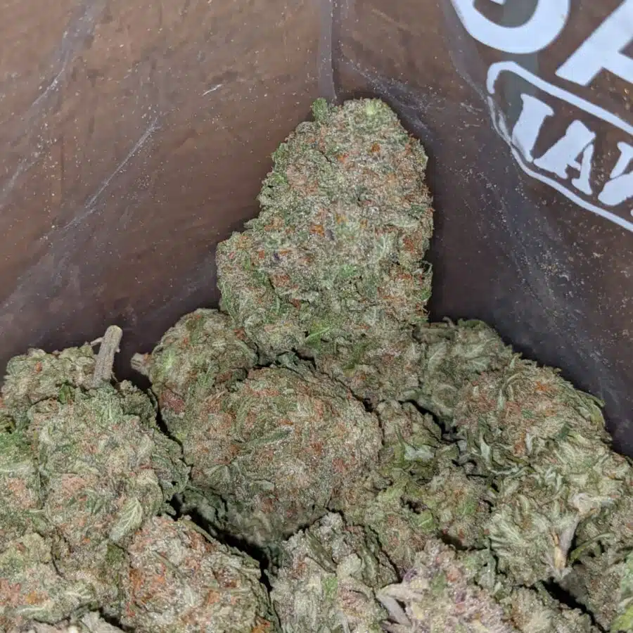 PURPLE NUKEN 4 I Purple Nuken