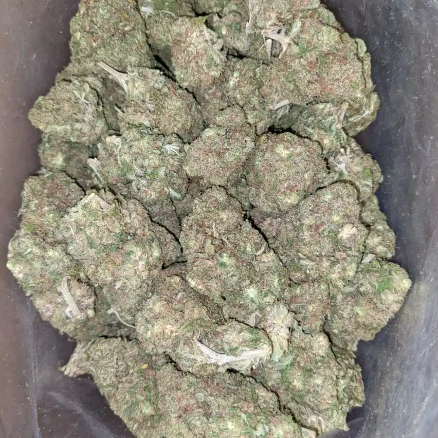 Pineapple 2 I $ 49 Oz - Pineapple