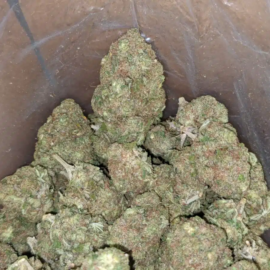 Pineapple 3 I $ 49 Oz - Pineapple