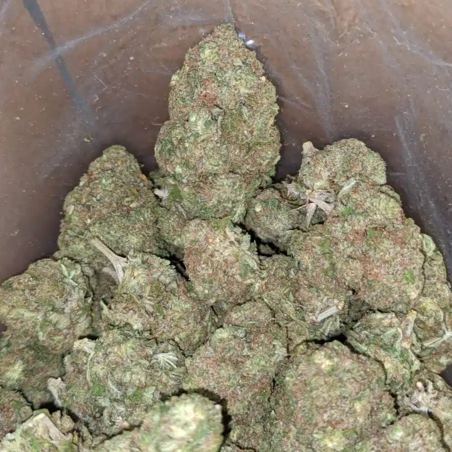 Pineapple 4 I $ 49 Oz - Pineapple