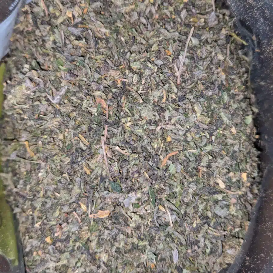 SHake aaaaa I AAA Trim/Shake