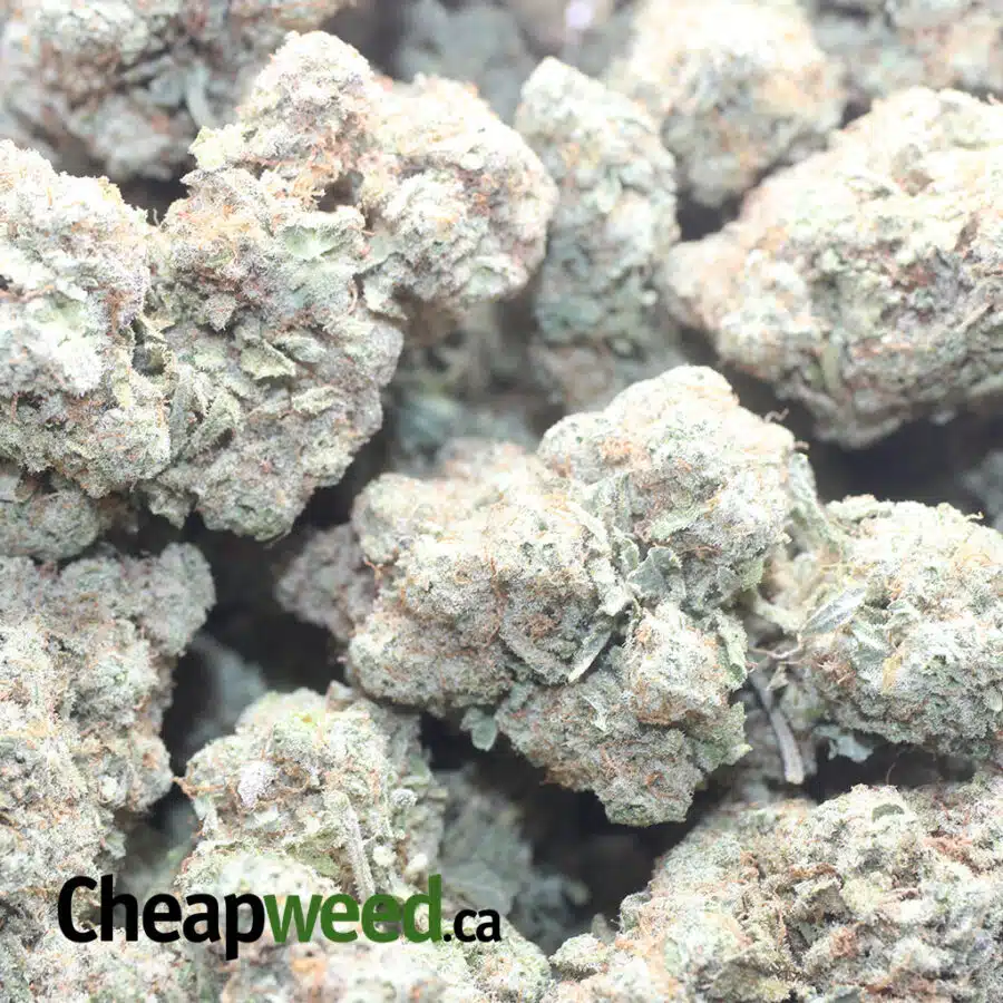 STARFIGHTER 1 I $ 56 Oz - Starfighter