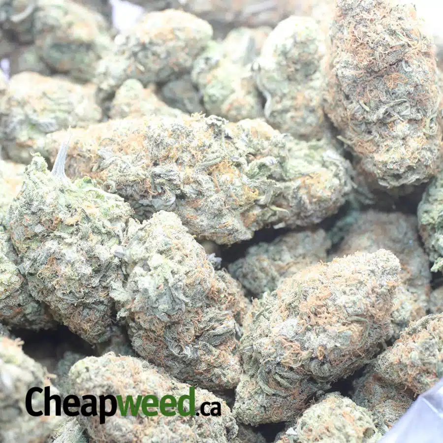 SWEET BERRY 1 I $ 60 Oz - Sweet Berry