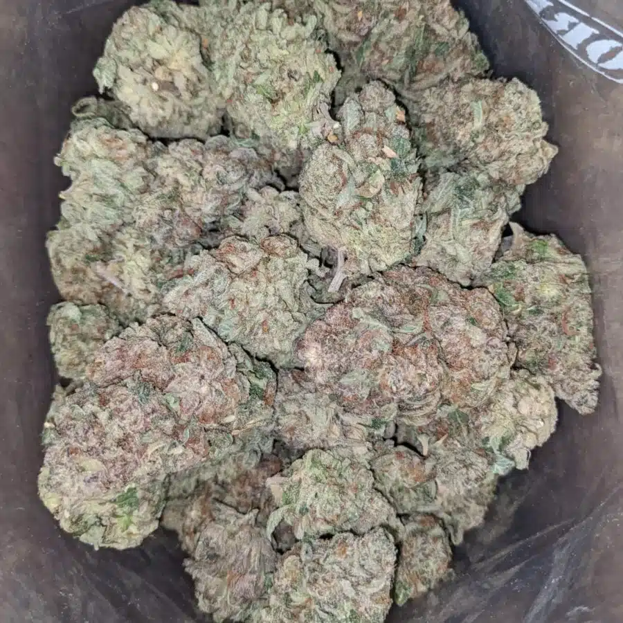 Sticky Icky 1 I Sticky Icky