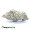 $ 59 Oz - Tropical Punch