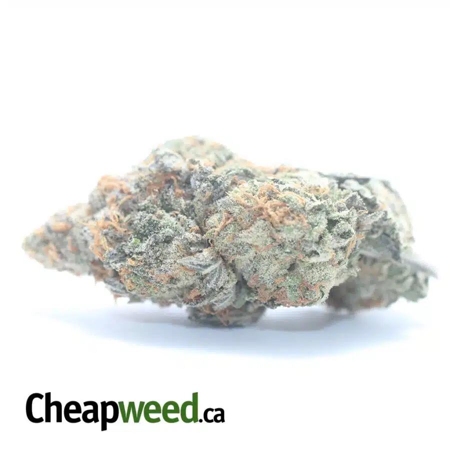 $ 59 Oz - Tropical Punch