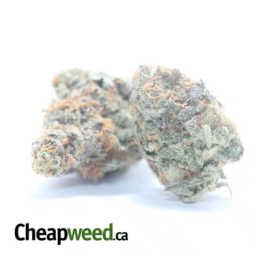 Alternative view of $ 59 Oz - Tropical Punch