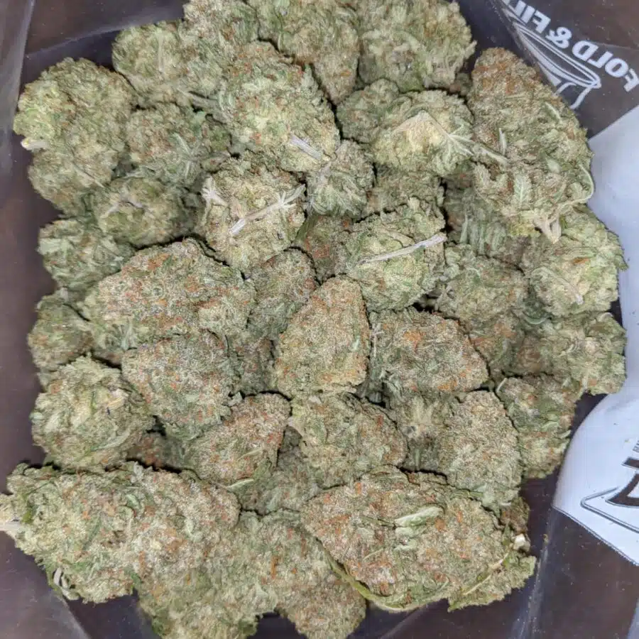 WhatsApp Image 2024 04 26 at 1.52.28 PM I Nuken - *Deal Of The Day*