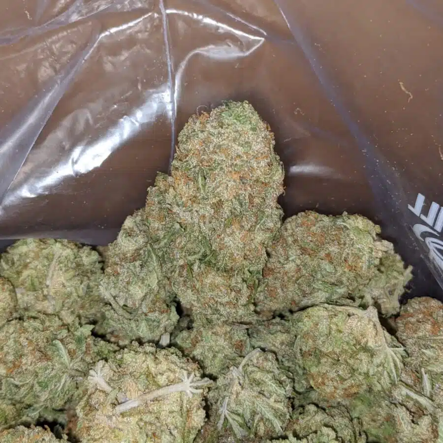 WhatsApp Image 2024 04 26 at 1.52.29 PM 1 I Nuken - *Deal Of The Day*