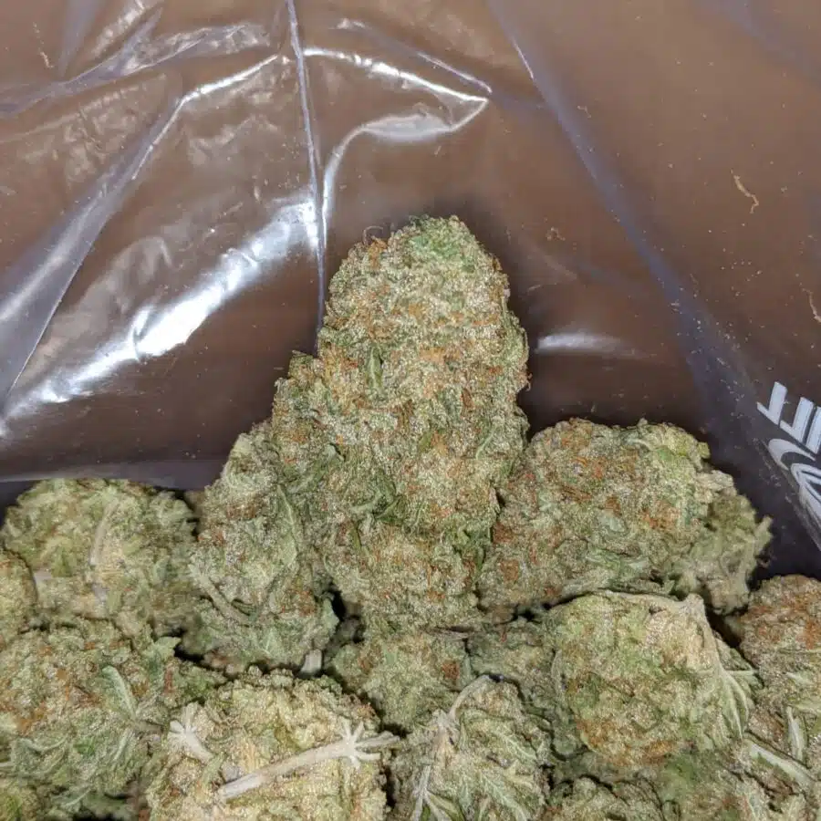 WhatsApp Image 2024 04 26 at 1.52.29 PM 2 I Nuken - *Deal Of The Day*