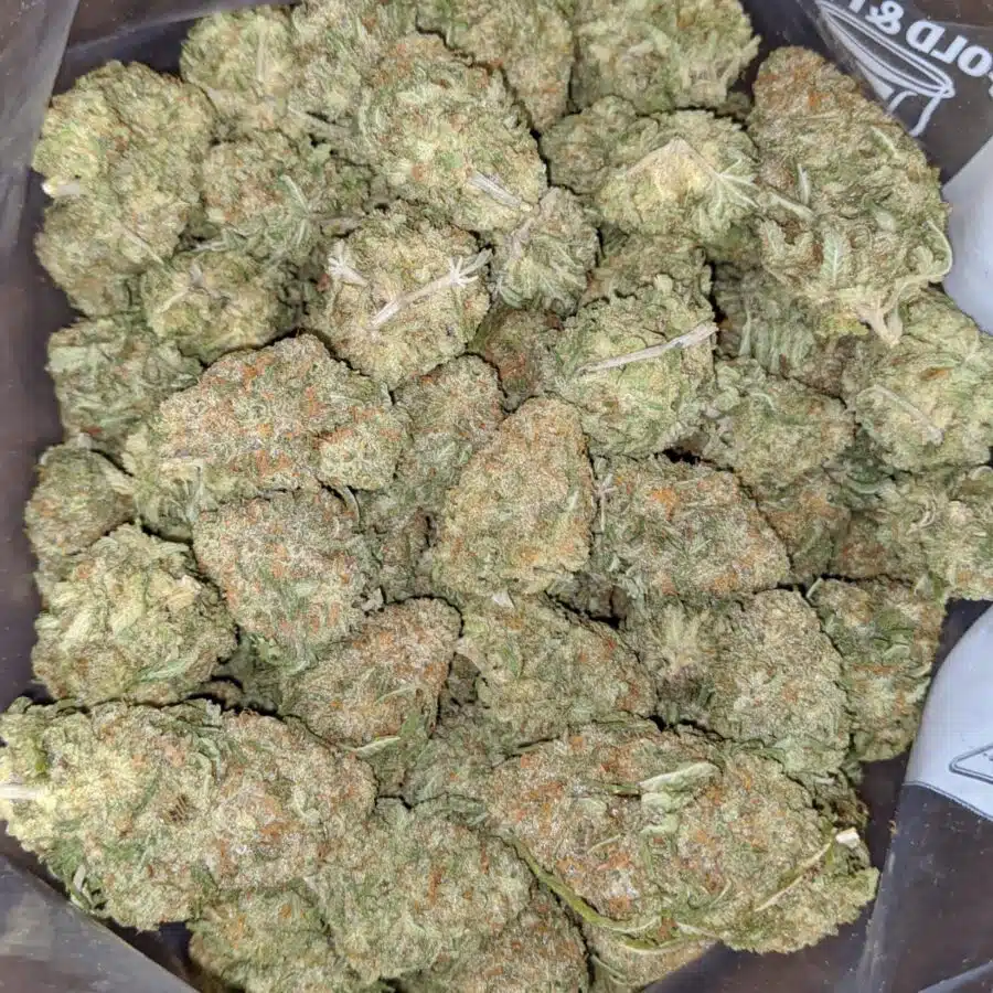 WhatsApp Image 2024 04 26 at 1.52.29 PM I Nuken - *Deal Of The Day*