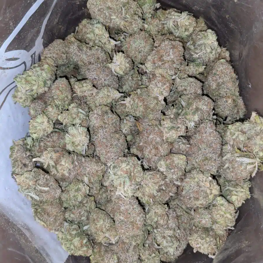cherry bomb 1 I $ 56 Oz - Cherry Bomb