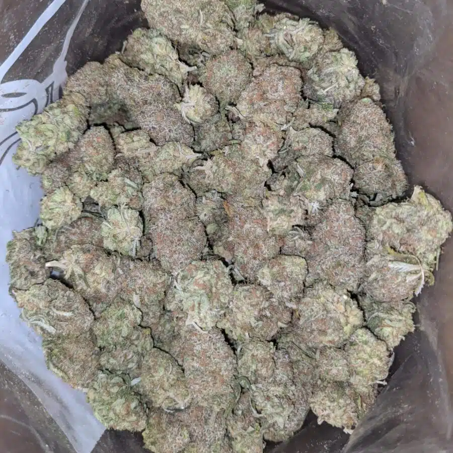 cherry bomb 2 I $ 56 Oz - Cherry Bomb