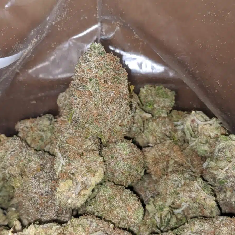 cherry bomb 3 I $ 56 Oz - Cherry Bomb