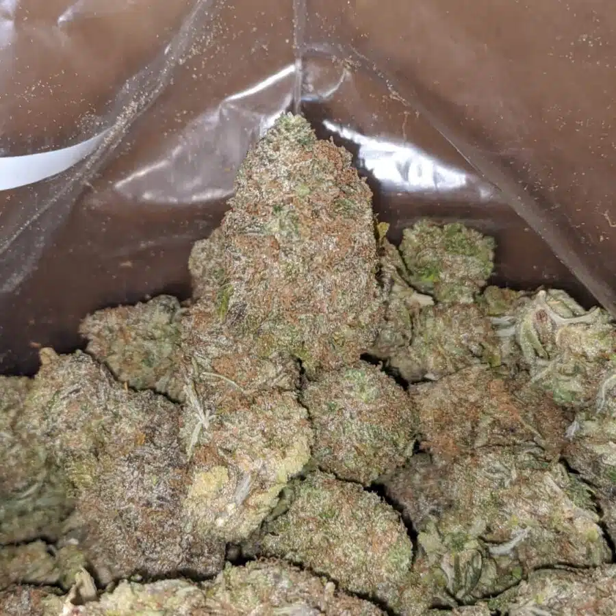 cherry bomb 4 I $ 56 Oz - Cherry Bomb
