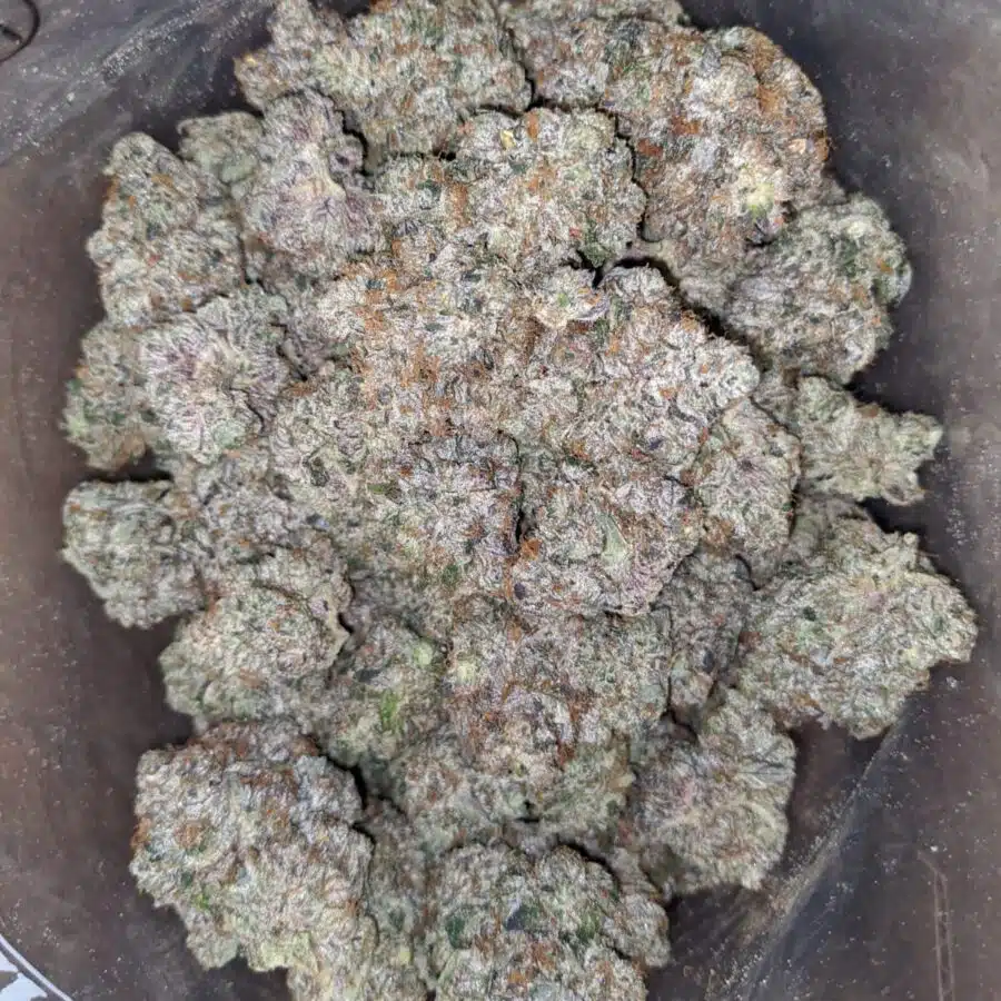 godfather og 4 I Godfather OG