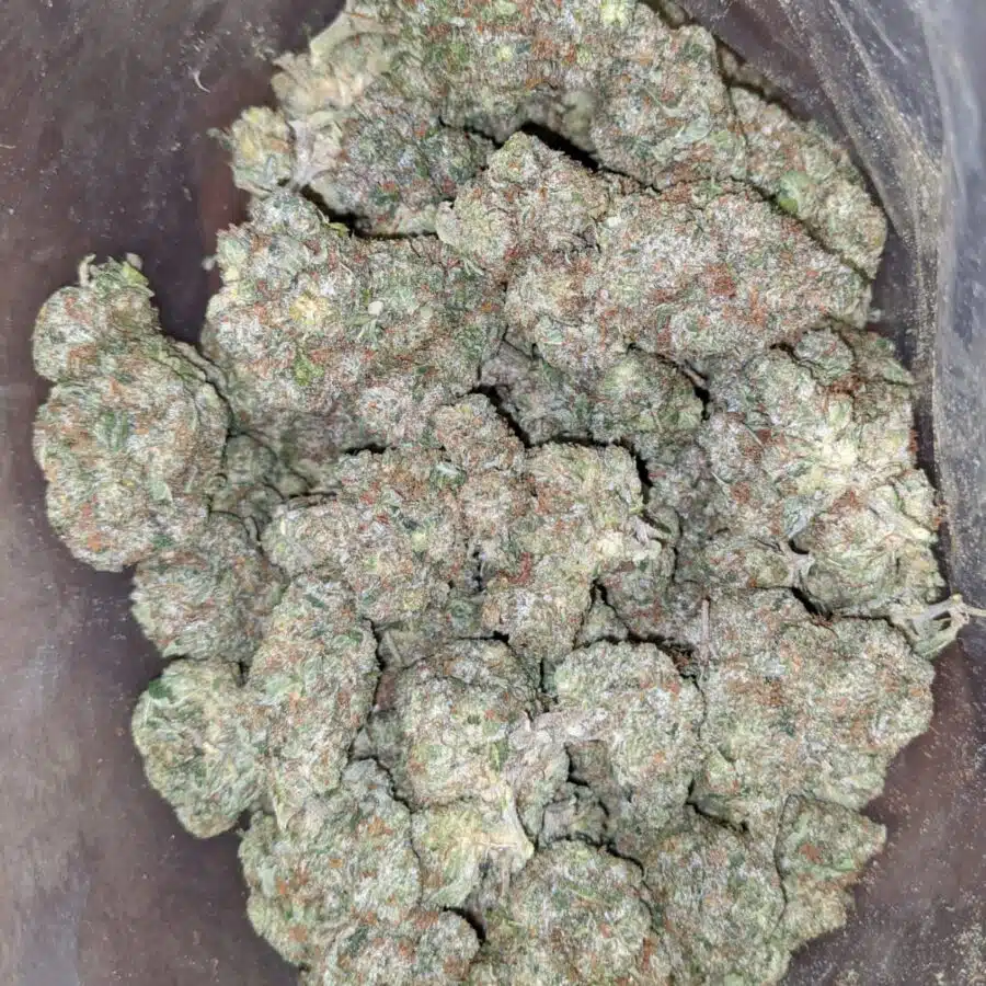 greenfarm pink kush 2 I Greenfarm's Pink Kush