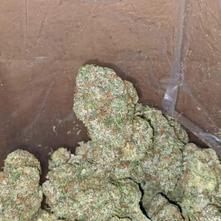 greenfarm pink kush 3 I Greenfarm's Pink Kush