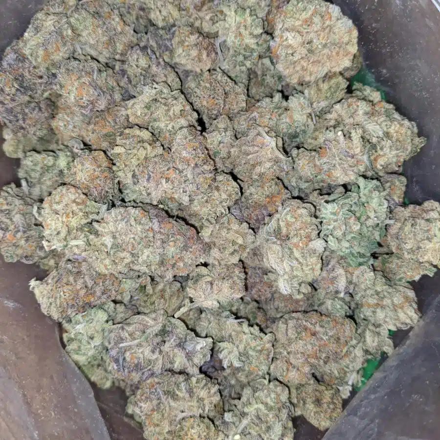 kush cookies 1 I Kush Cookies