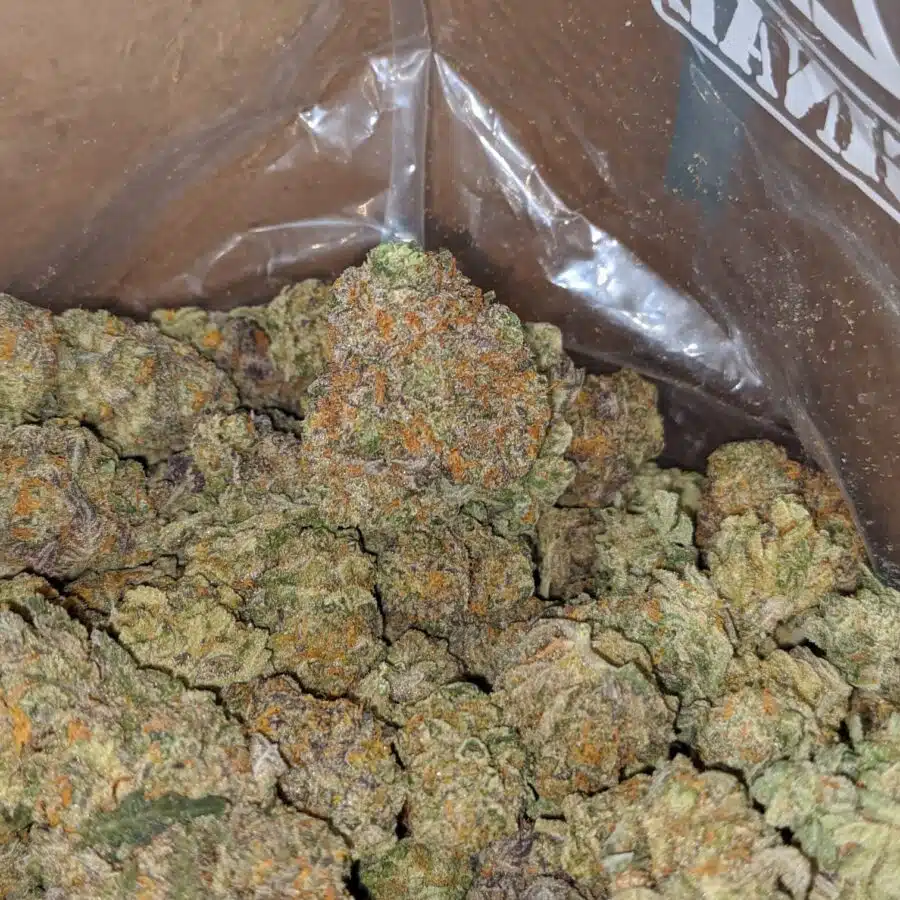 kush cookies 3 I Kush Cookies