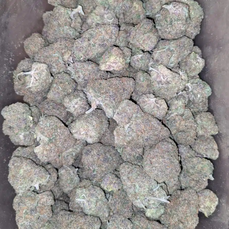 lemon cookies deal of the day 1 I Lemon Cookies - *Deal of the Day*