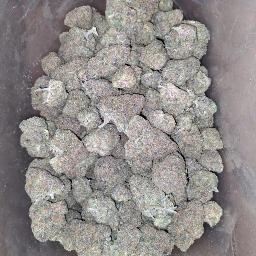lemon cookies deal of the day 2 I Lemon Cookies - *Deal of the Day*