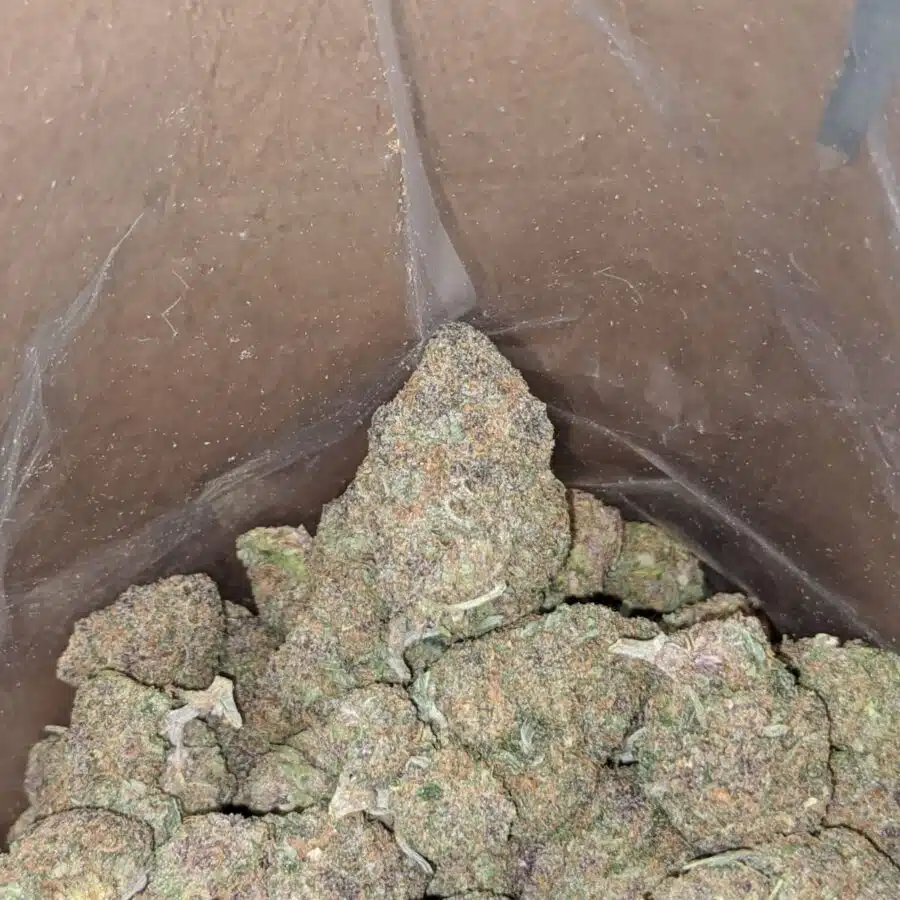 lemon cookies deal of the day 3 I Lemon Cookies - *Deal of the Day*