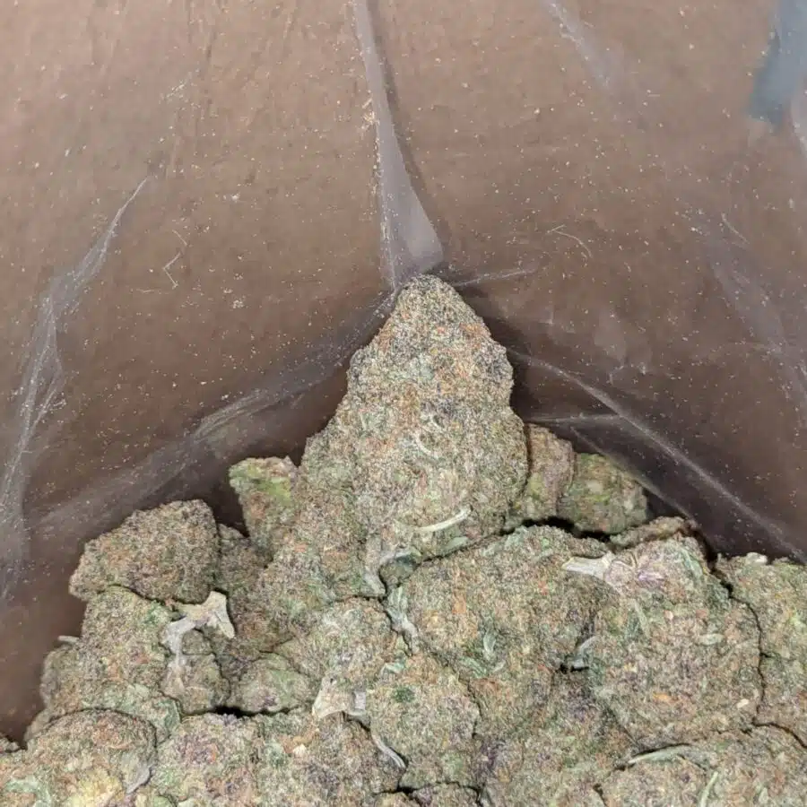 lemon cookies deal of the day 4 I Lemon Cookies - *Deal of the Day*