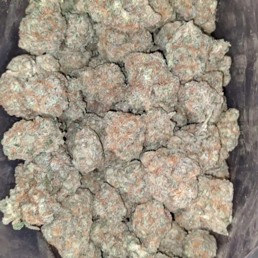 monkey mints 1 1 I Monkey Mints