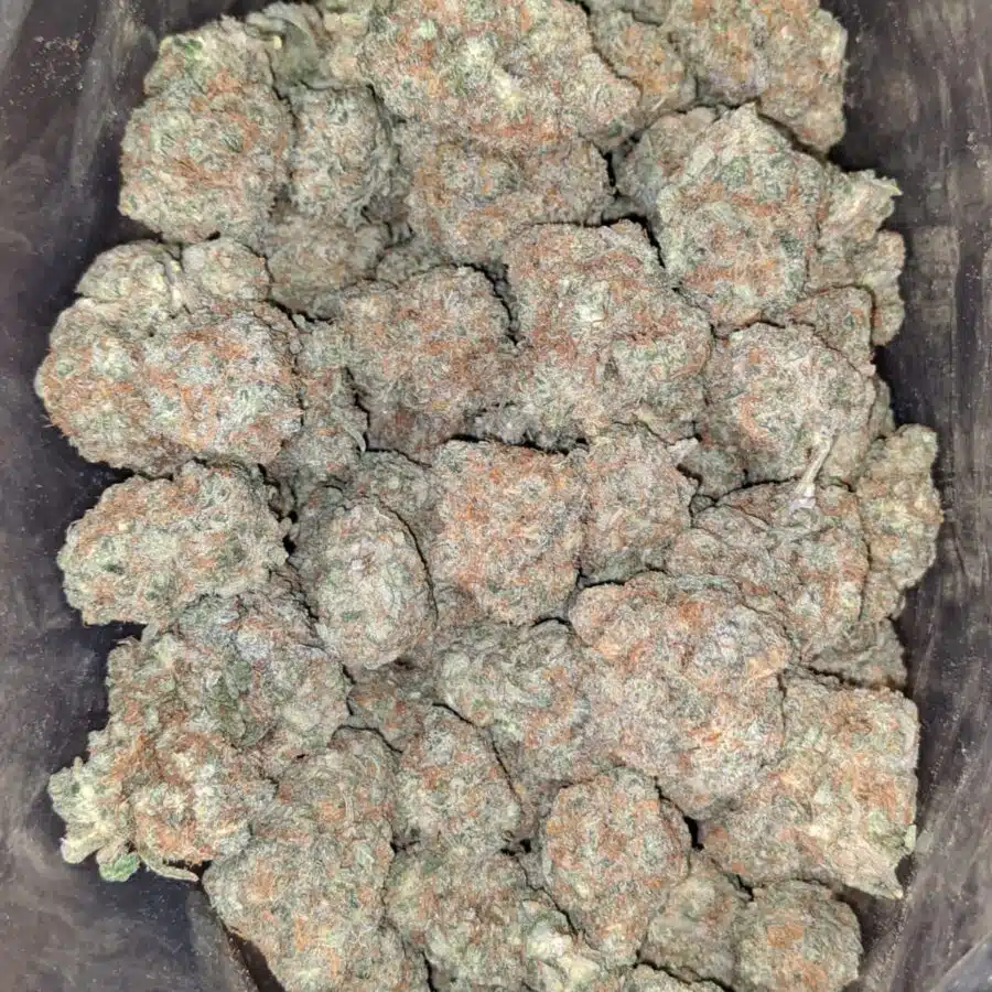 monkey mints 2 1 I Monkey Mints