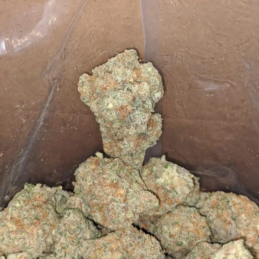 monkey mints 3 1 I Monkey Mints