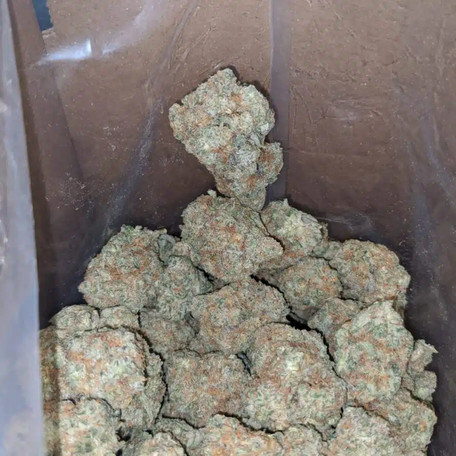 monkey mints 4 1 I Monkey Mints
