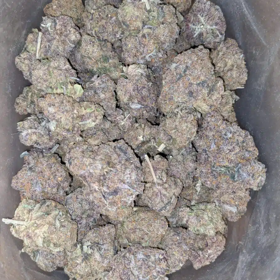 purple diesel 1 I Purple Diesel