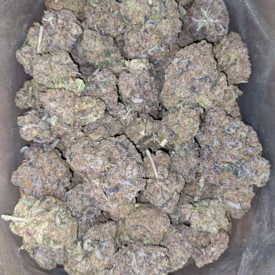 purple diesel 2 I Purple Diesel
