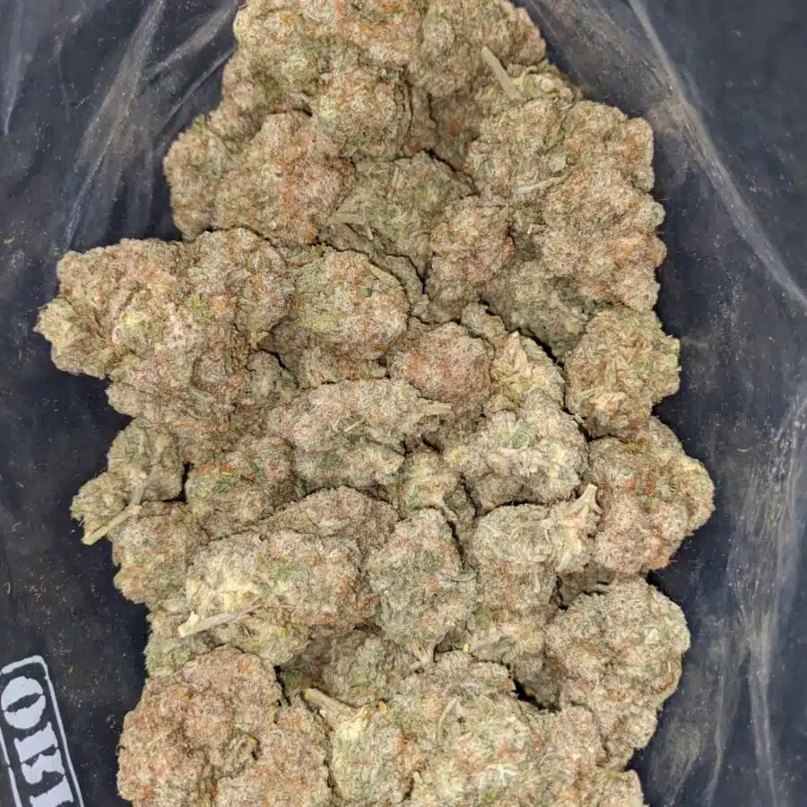 starfighter 2 I $ 56 Oz - Starfighter