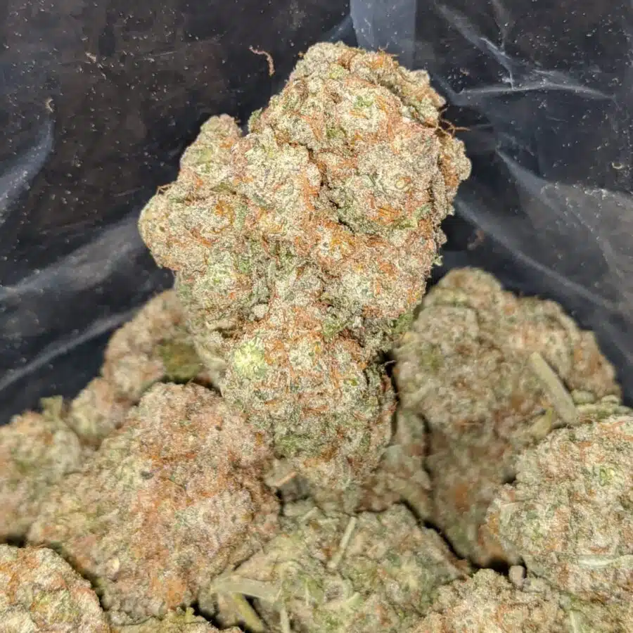 starfighter 3 I $ 56 Oz - Starfighter